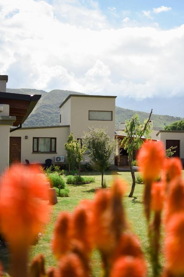 Entre Montanas Apartment Tafi del Valle Ngoại thất bức ảnh