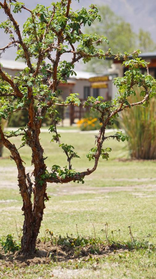 Entre Montanas Apartment Tafi del Valle Ngoại thất bức ảnh