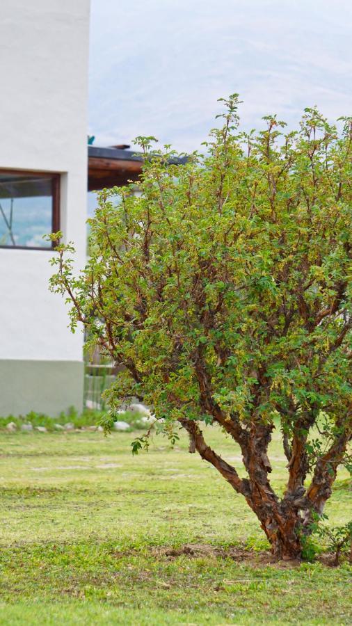 Entre Montanas Apartment Tafi del Valle Ngoại thất bức ảnh